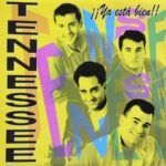 tennessee-ya esta bien-grupos españoles-1-vinilo coleccion